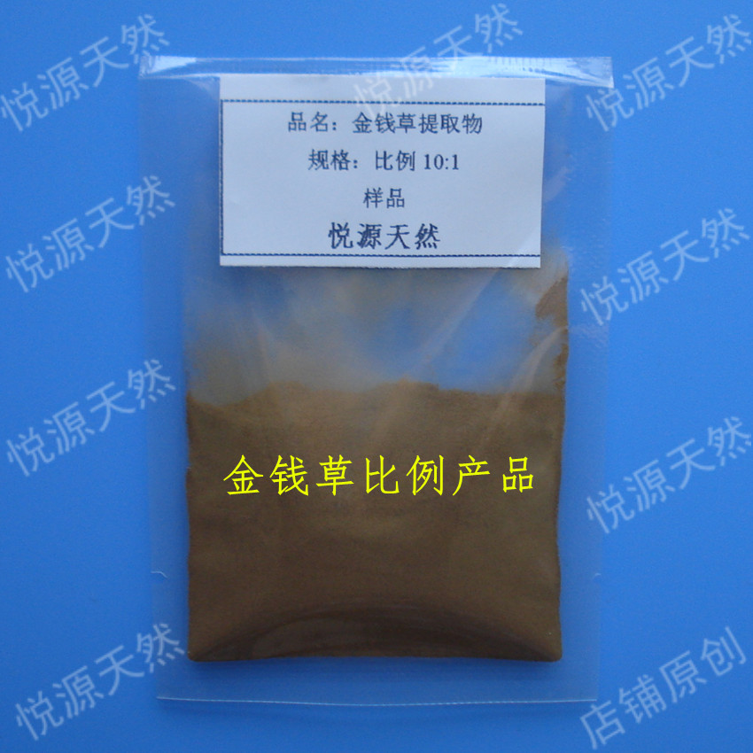 金钱草 10:1比例提取 实验科研用过路黄萃取浓缩粉 100g 赠瓶子勺