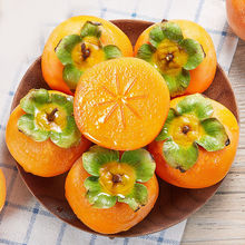 【发中大果】保山甜脆柿净重5斤