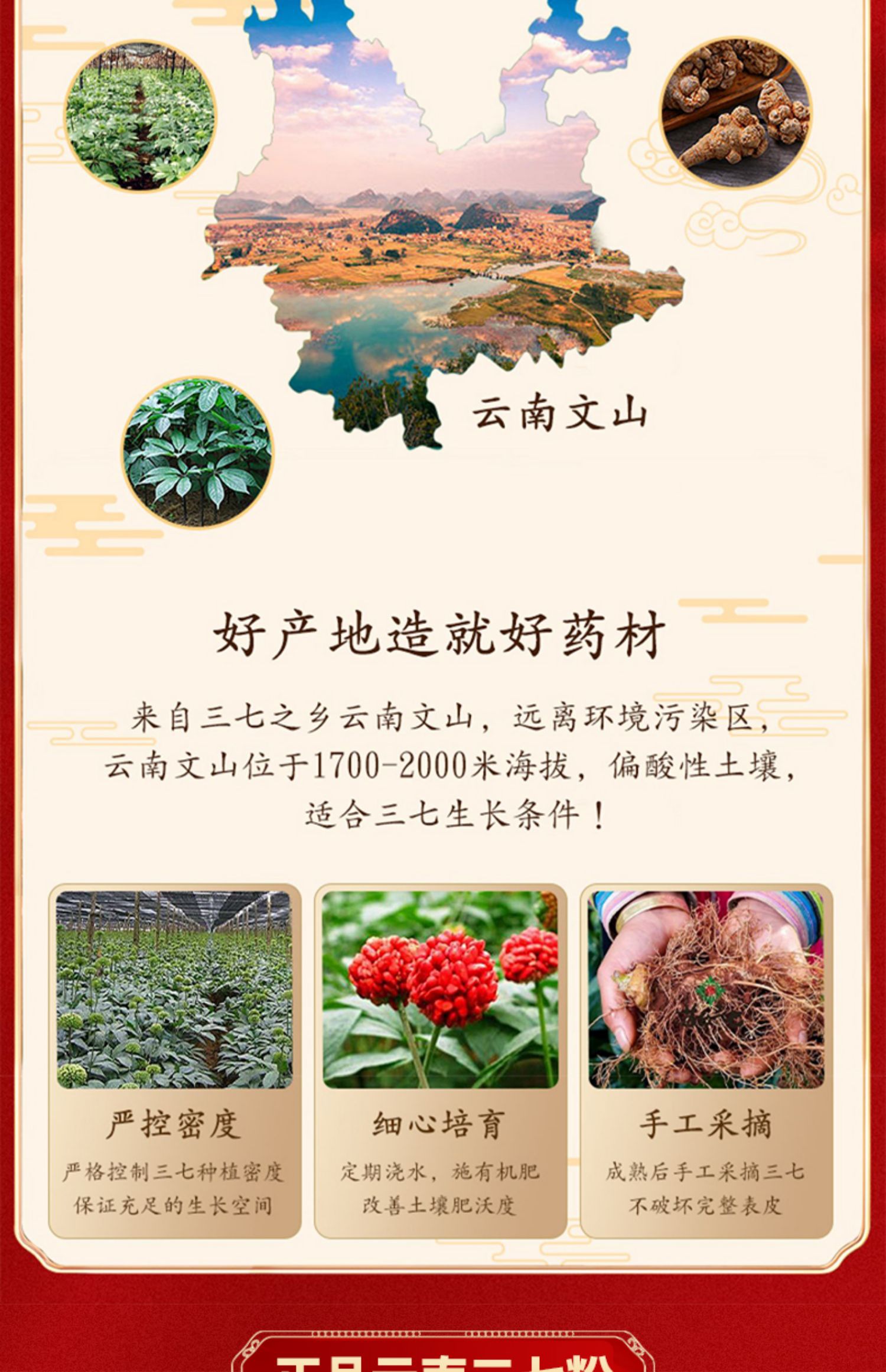 【祜全斋】云南正宗三七粉罐装250g