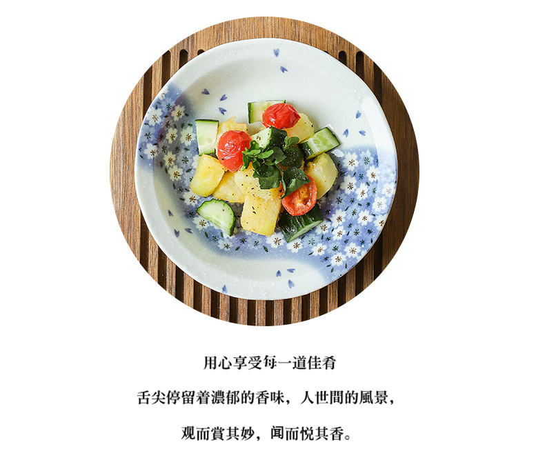 Japan 's imports of ceramic tableware sakura snow Japanese deep dish dish dish dish fruit plate pasta dishes