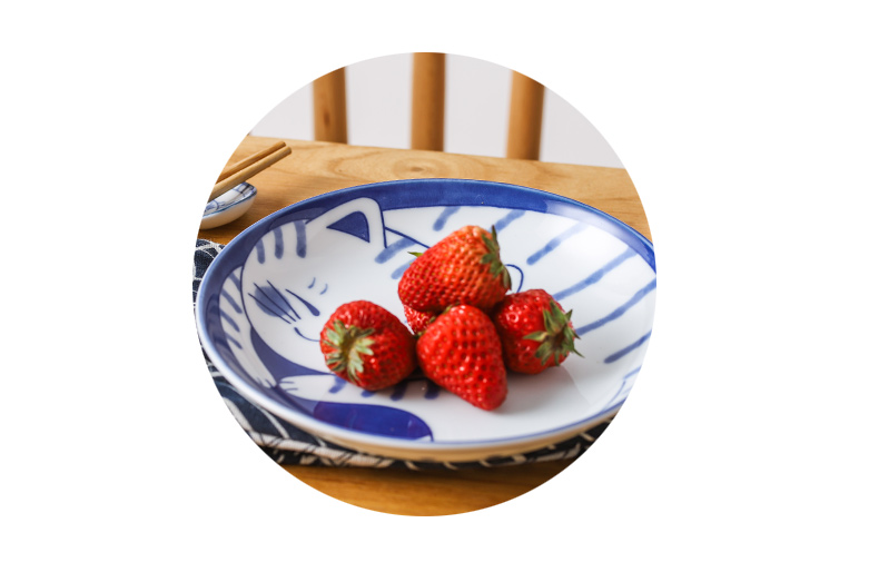Japan imports ceramic bowl express cat pattern is 19.5 cm in shallow dish dish dish dish word "dumpling"