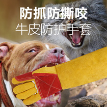 Anti-bite glove anti-catch dog bite cat catch training cat pet gloves training dog training dog bathing thickened with tear-resistant bite