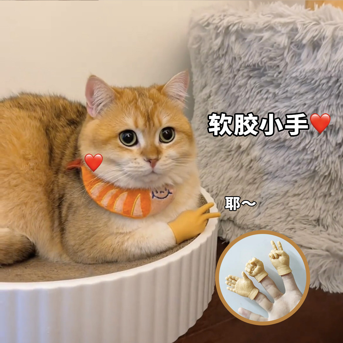 猫咪手指套搞笑小手指清洁趣味逗猫逗猫硅胶橡胶弹性网红同款创意