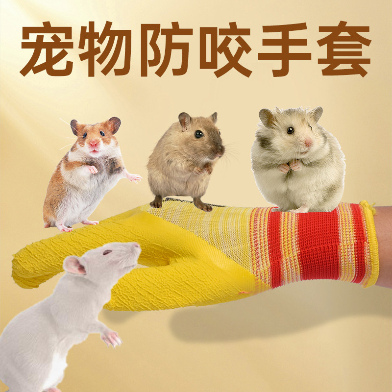 训狗防咬手套防抓仓鼠鹦鹉实验室小鼠抓金丝熊蜜袋鼯防猫抓咬耐磨