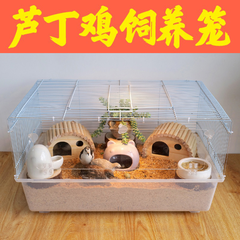 Rutin chicken breeding box special cage chicken cage home cage indoor small chicken brood live pet chick cage
