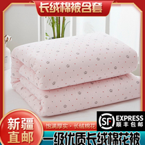 New frontier cotton flowers quilted by primary quality long suede cotton handmade cotton quilted with pure cotton flowers quilt core quilted winter quilted by full cotton