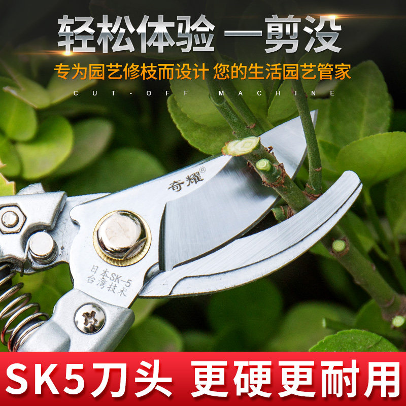 Garden fruit branches floral art pruning twigs cut fruit tree bonsai scissors telescopic coarse and powerful great labor-saving gardening scissors tool-Taobao