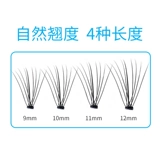 [韩国LOVYUQI品牌 貂绒10D朵状 假睫毛自然款山茶花美睫 自己嫁接]
