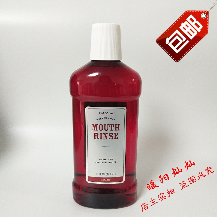 3713 Meryl House Clean Teeth Mouthwash-Alcohol Cinnamon 473ml 