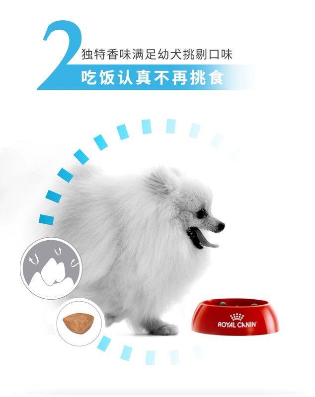 Chó hoàng thực phẩm chó con chó nhỏ loại chung MIJ31 / 2kg * 2 VIP hơn gấu Teddy lông xé - Chó Staples