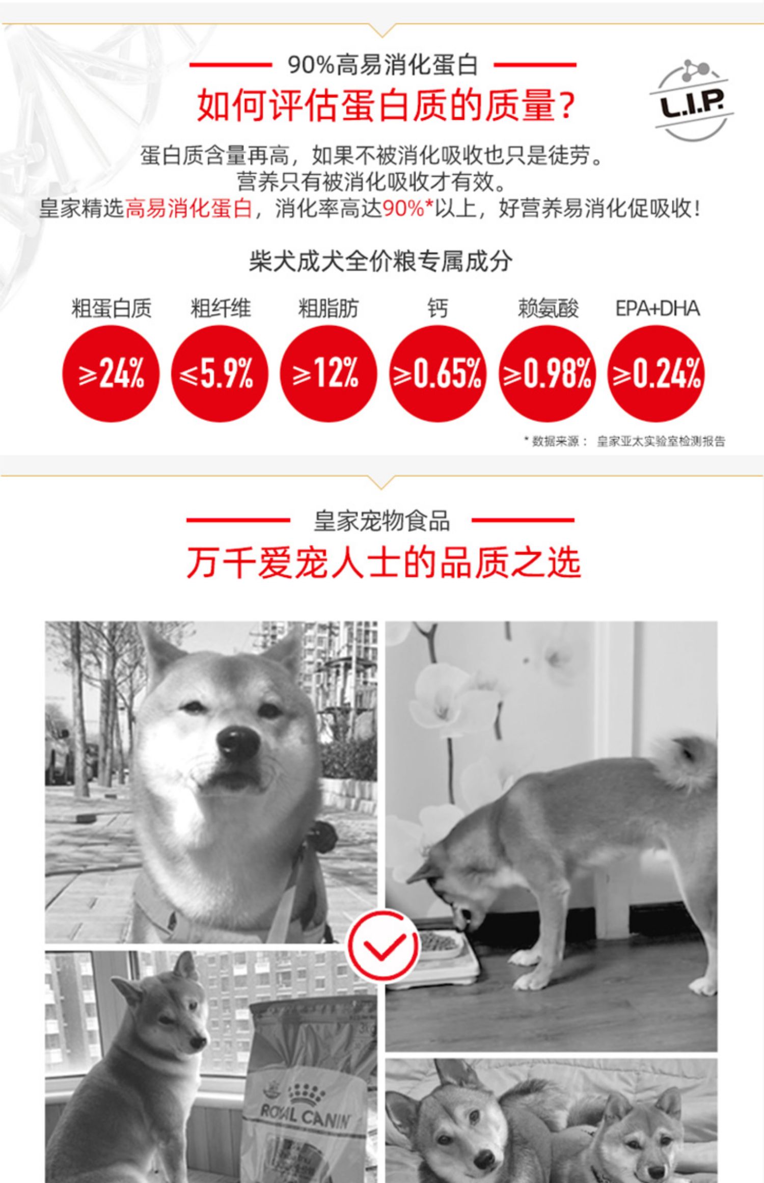 皇家SIA26柴犬营养专用粮3kg