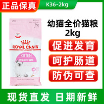 Pet Cat Food France Royal K36 Pregnancy Breastfeeding Mother Cat Food 2kg Plus Fiying Short And Cat Food
