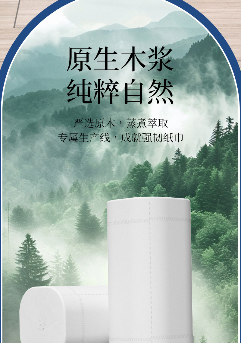 安享好物 安享B级卷纸-丝飘无芯卷纸 国标 