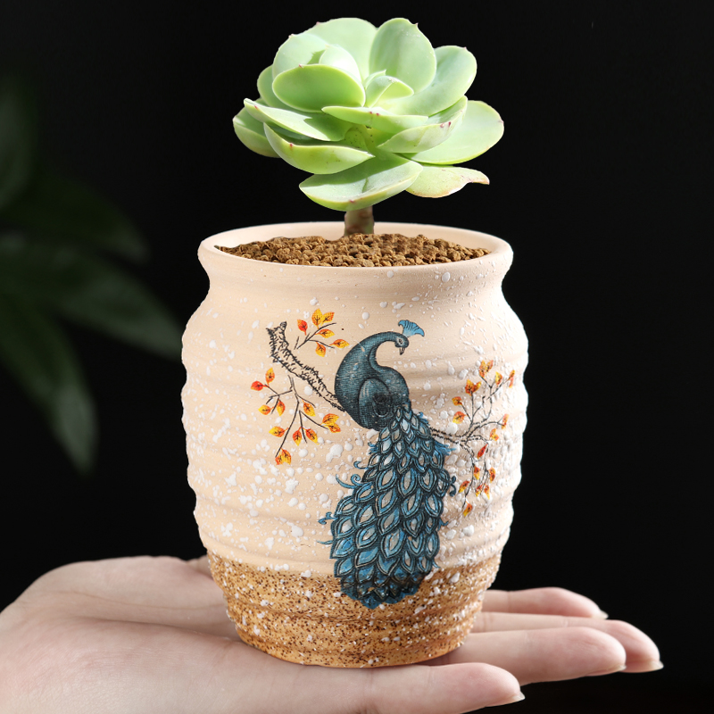 Korean meat more coarse pottery flowerpot creative ceramics breathable desktop classic lovely contracted snowflakes glaze with 10 yuan package mail