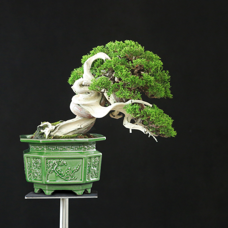 陶瓷高温冰裂浮雕绿植造景大花盆真柏迎客松四方八方特大石湾盆