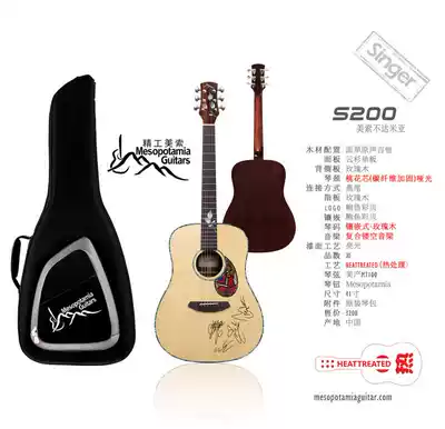 Meso guitar Meso S200 guitar master signature