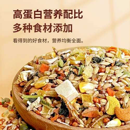 Зерновые закуски хомяка, золотое шелковое зерно, цветочные ветви, зерна крысы Специальная пищевая пища, лиофилизированная корма, зерно хомяка