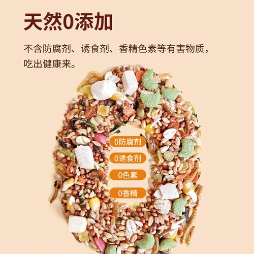 Зерновые закуски хомяка, золотое шелковое зерно, цветочные ветви, зерна крысы Специальная пищевая пища, лиофилизированная корма, зерно хомяка