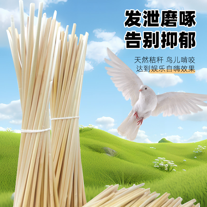 什么样的天然麦秆玩具最适合鹦鹉？