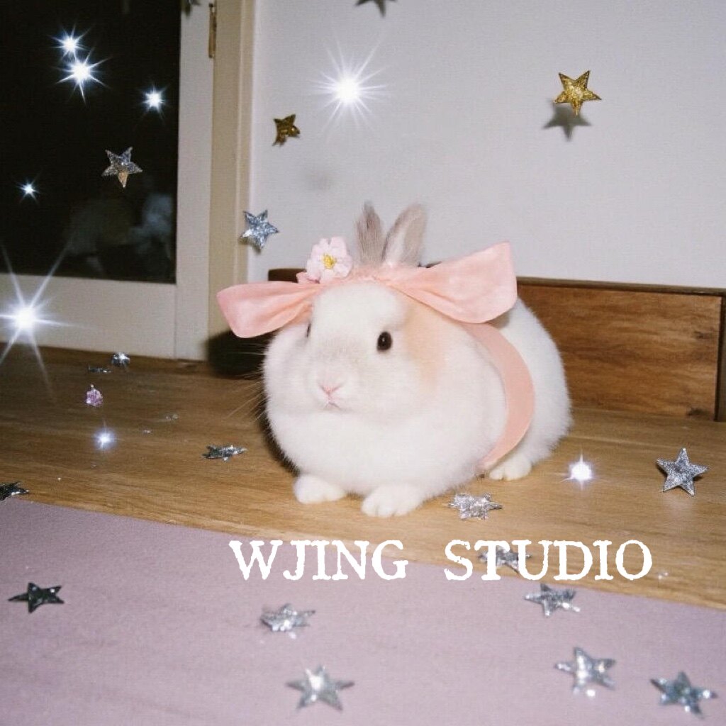 WJING STUDIO的LOGO