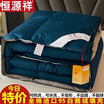 羽绒被全棉95白鹅绒加厚保暖冬被子羽绒被芯春秋单双人学生酒店用