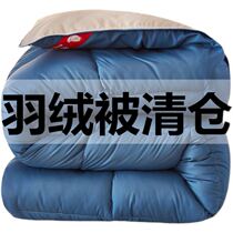 羽绒被空调被春秋被夏凉被棉被子冬被鹅绒被单人被子四季通用被芯