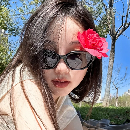 Дженни те же маленькие рамки для кошачьих глаз солнцезащитные очки женский 2024 Новый высокий уровень