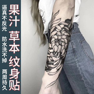 [One Set of Two]Herbal Tattoo Stickers Chrysanthemum Arm Juice for Women and Men Semi-Permanent Non-Reflective Waterproof Long-Lasting