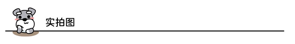 Настоящий выстрел