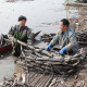 Authentic Honghu powder lotus root lotus root soup lotus root freshly dug and found glutinous rice root stew soup nine-hole lotus root Hubei red lotus root