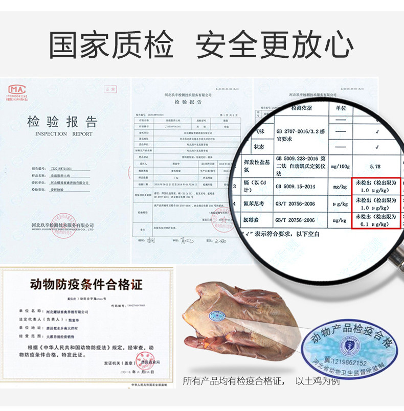 正宗农家散养童子鸡 2斤*2只 图9