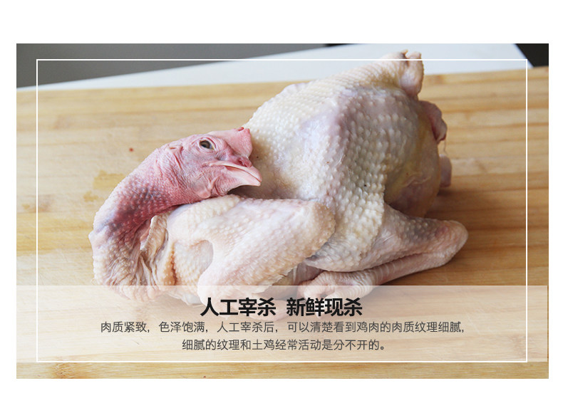 正宗农家散养老母鸡 2斤*2只 图3