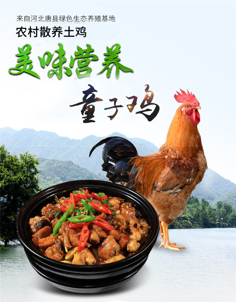 正宗农家散养童子鸡 2斤*2只 图1