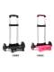Universal Trolley Rack Trolley School Bag Single Trolley Three-wheel Trolley Rack Two Trolley Junior High School Student Trolley