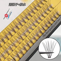 Scarecrow false eyelashes female natural simulation self-grafting eyelashes paste supernatural Net red soft thick model