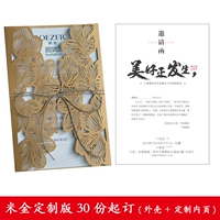 Mi -Gold Indiance Edition (30 частей из 30 частей)