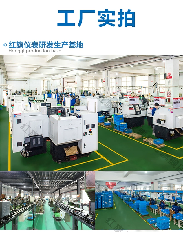 Hongqi thương hiệu cụ YO-60 máy đo áp suất oxy không dầu máy đo áp suất oxy van giảm áp tẩy dầu mỡ đường ống dẫn khí