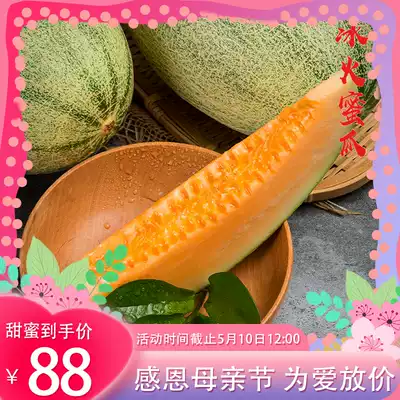 Xinjiang Hami Melon Turpan West Zhou Mi No. 25 Two reticulated melon seasonal fresh fruit Shunfeng