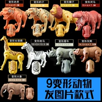 Девять негабаритных животных деформируются без яичных раковин