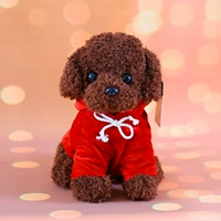 Темно -коричневая+красная одежда 1