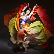 Classical Dance Plays in Flying Sky Music Dance Dunhuang Dance Costumes Fairy Flutter Backlash Pipa Costume Stage Performance Suit