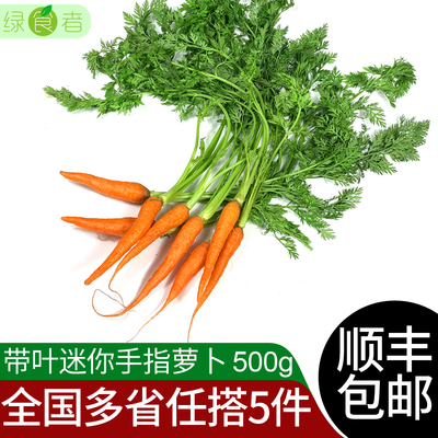 绿食者 Принесение моркови для листовых пальцев 500 г свежие овощи, мини -фрукты Морковные цвета салатные ингредиенты лала
