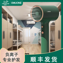 OMUONE omuni electric hair dryer negative ion hair care household High Power quick dry electric blower silent high speed