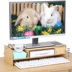 hộp đựng mỹ phẩm mini Tân Cương Cửa hàng bách hóa LCD màn hình máy tính tăng lưu trữ bàn gỗ lưu trữ hoàn thiện lưu trữ - Trang chủ thùng nhựa đựng quần áo Trang chủ