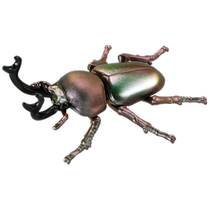 (Self-operated) Domeca Anlia AS Rainbow Beetle Simulation Beetle Animal Insect Educational Model Toy