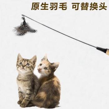 Cfa competition grade wooden handle cat teasing stick is durable and resistant to scratching pets