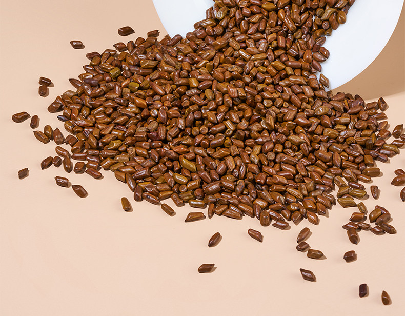 Premium Roasted Cassia Seed 500g Jue Ming Zi Herbal Tea Ingredient for Daily Brewing specifications