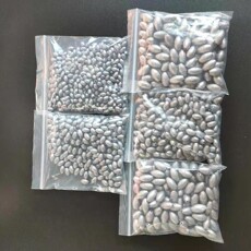 Ванна корпуса 包邮特价通心铅坠橄榄型海竿抛竿钓鱼坠远投中通铅坠100个