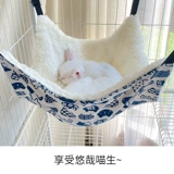 Кошачья подвесная клетка с кошкой кошачьи гнездо кот осень тысяча висящих кошачьих гнездо кошка кошка кошка висящая корзина подвесная кровать кошачья клетка зима