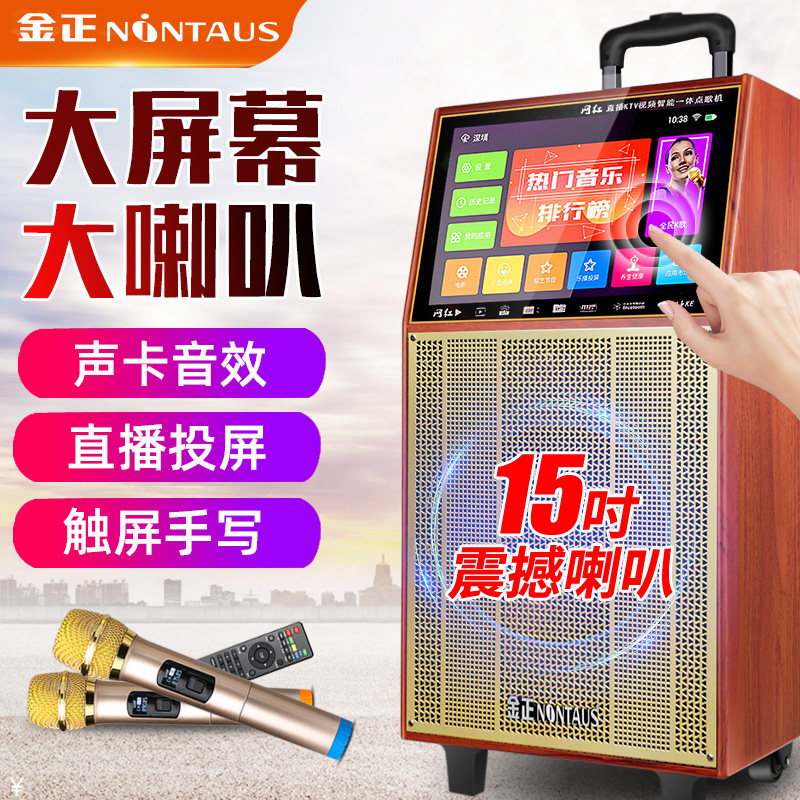Jinzheng 22 inch square dance audio with display screen outdoor performance with wireless microphone home trolley speaker k song loud volume bluetooth singing and dancing Allktv audio and video player